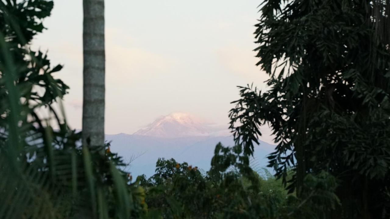 Finca La Argelia Quimbaya Extérieur photo