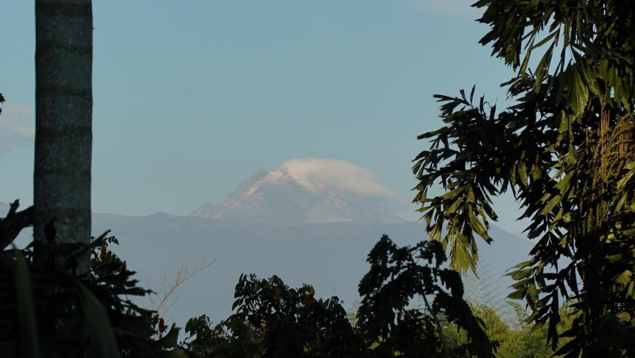 Finca La Argelia Quimbaya Extérieur photo